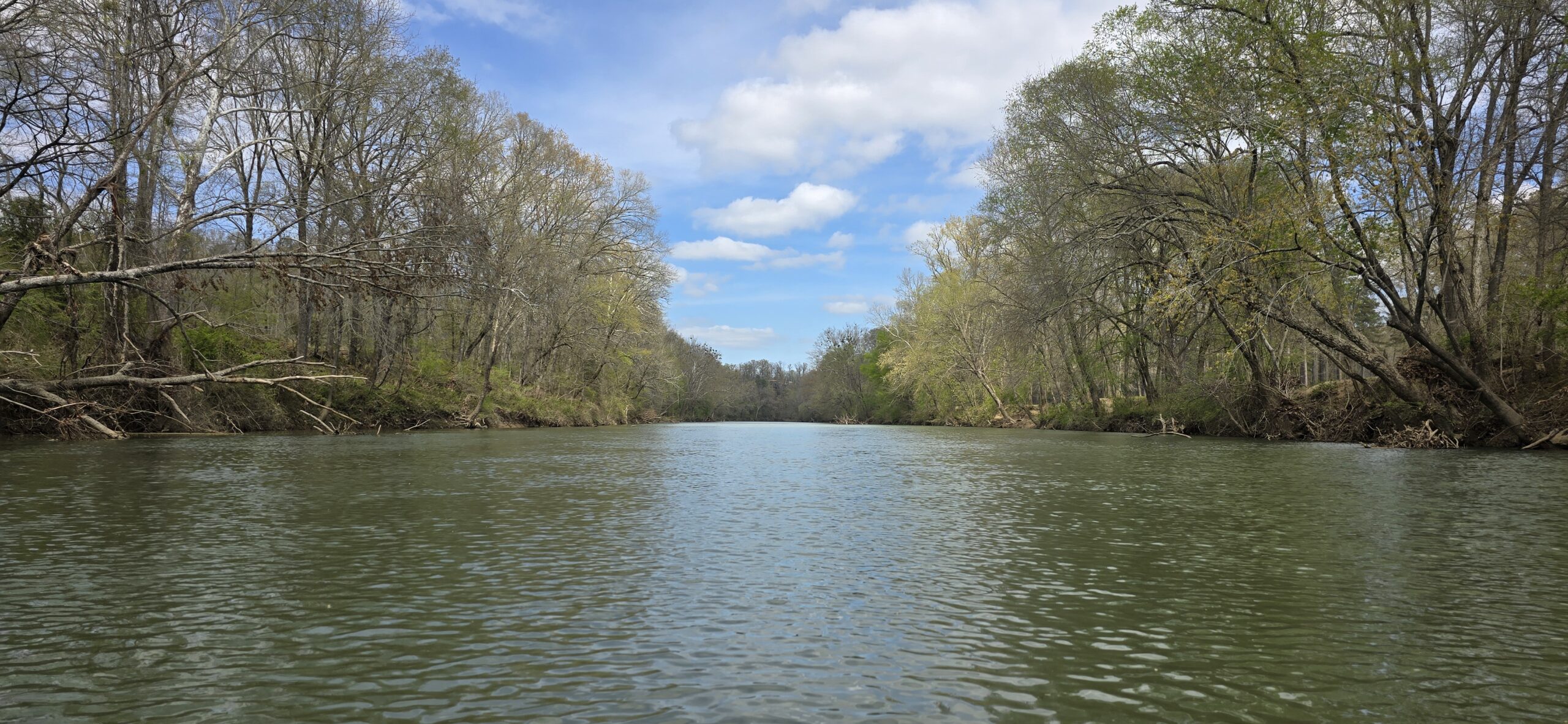 Saline River scene with sky and trees